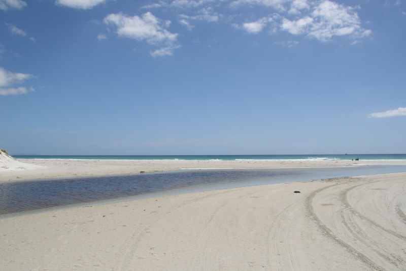 Nieuw-Zeeland 2011 - 0311